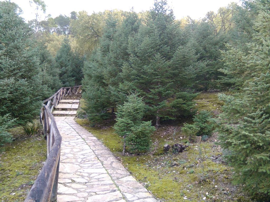 Casa Paco Pensionat El Bosque Exteriör bild